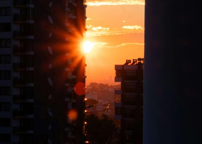 pexels-baris-20074591