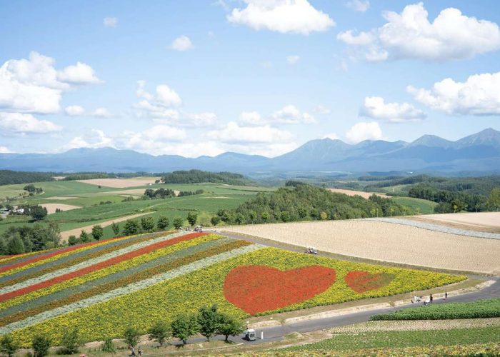 pexels-ccshot-36404588