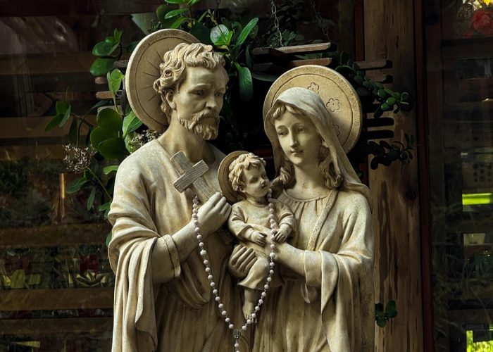 pexels-george-1301080-31561263