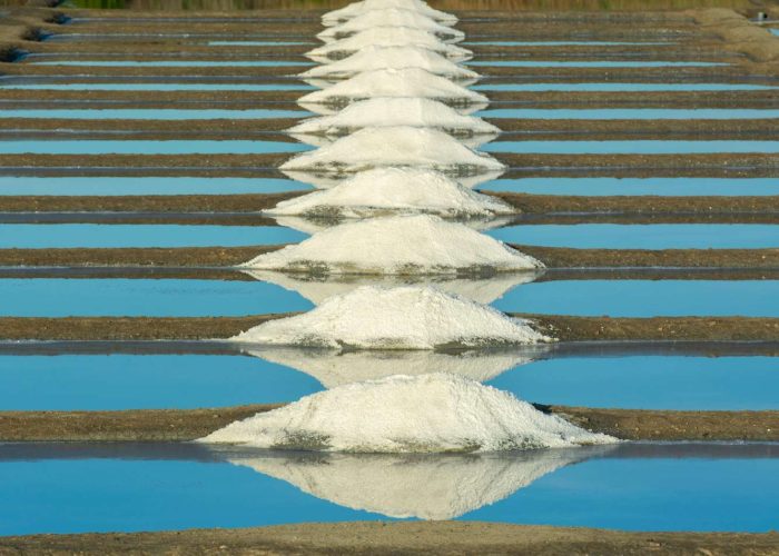 pexels-jan-van-der-wolf-11680885-17254695