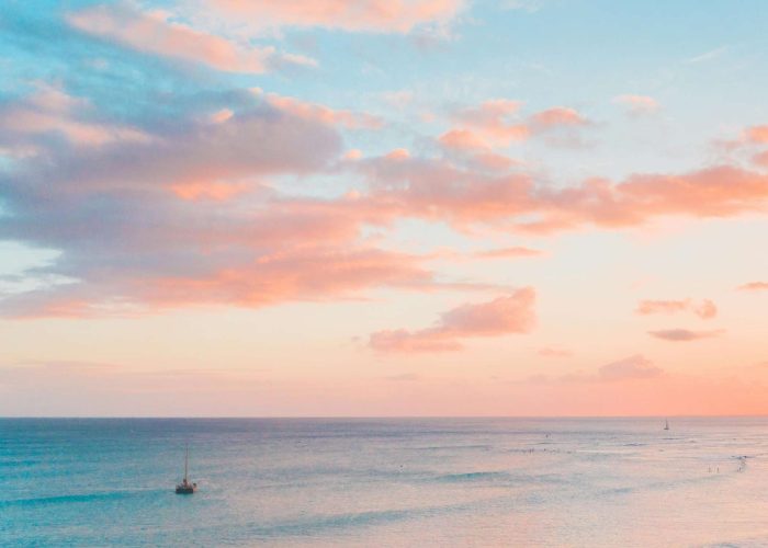 pexels-jess-vide-5007743