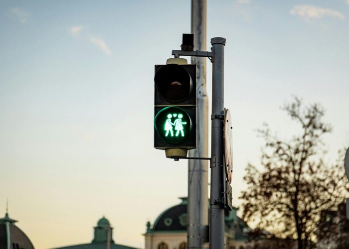 pexels-jonas-horsch-102497290-29974793