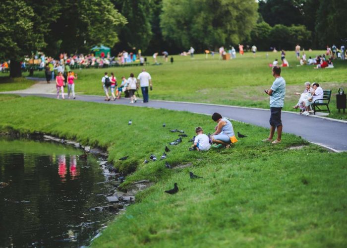 pexels-karola-g2-6050