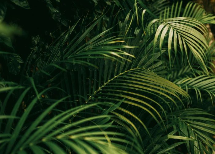 pexels-kylevermeulen-34710867