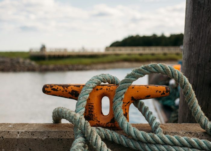 pexels-lstan-11150628