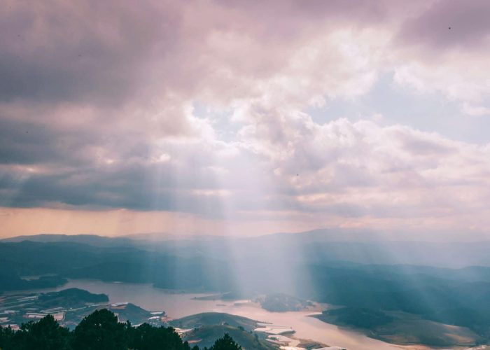 pexels-minan1398-1403550