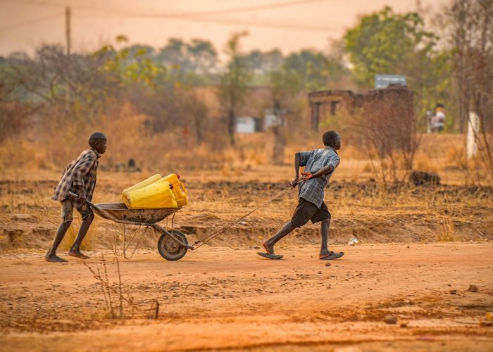 pexels-otim-gerald-162269883-31537013