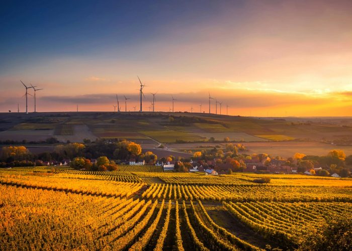 pexels-pixabay-325944