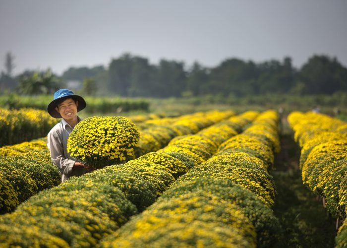 pexels-quang-nguyen-vinh-222549-2132242