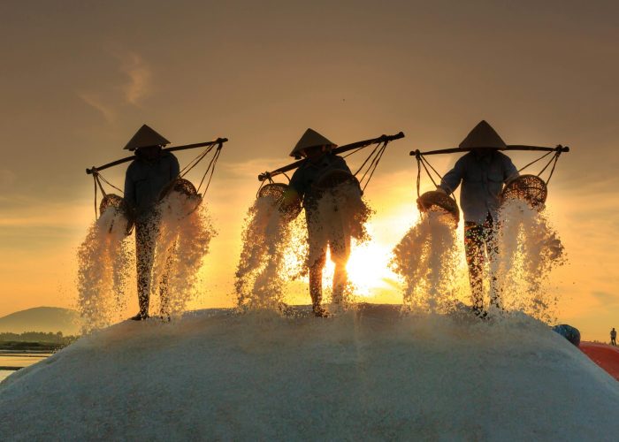 pexels-quang-nguyen-vinh-222549-2153002