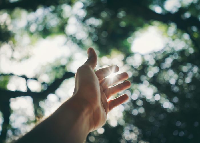 pexels-rickyrecap-1654698