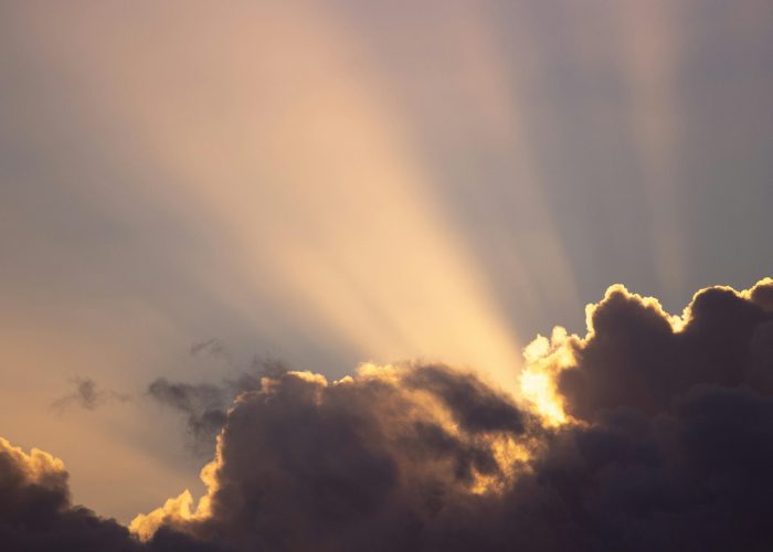 pexels-simaomoreira-11199367