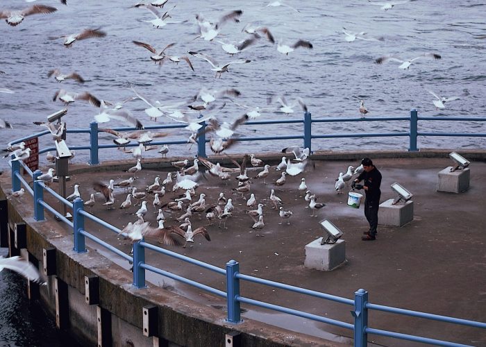 pexels-volkan-gunes-1085239176-27061401